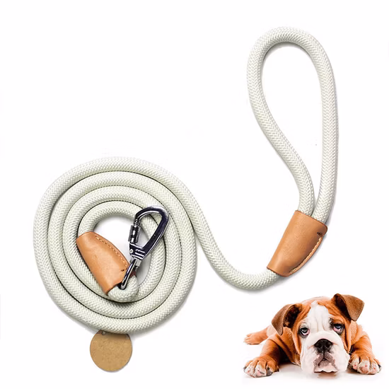 Haustier-Hunde-Slip-Leine, Hundeleine, Bergsteigerseil, Hundeleine, verstärkt mit Leder, maßgeschneiderter Verbindung, robuster silberner Verschluss